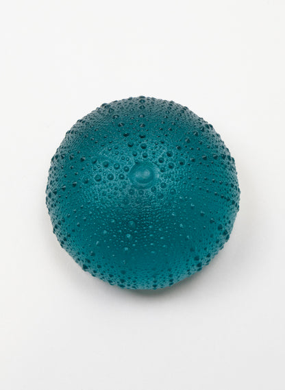 3XL Sea Urchin - Jade