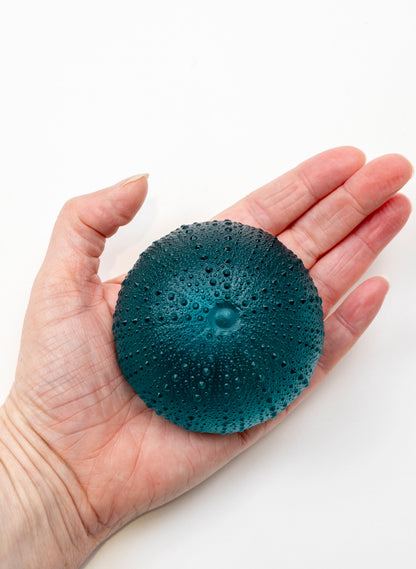 3XL Sea Urchin - Jade