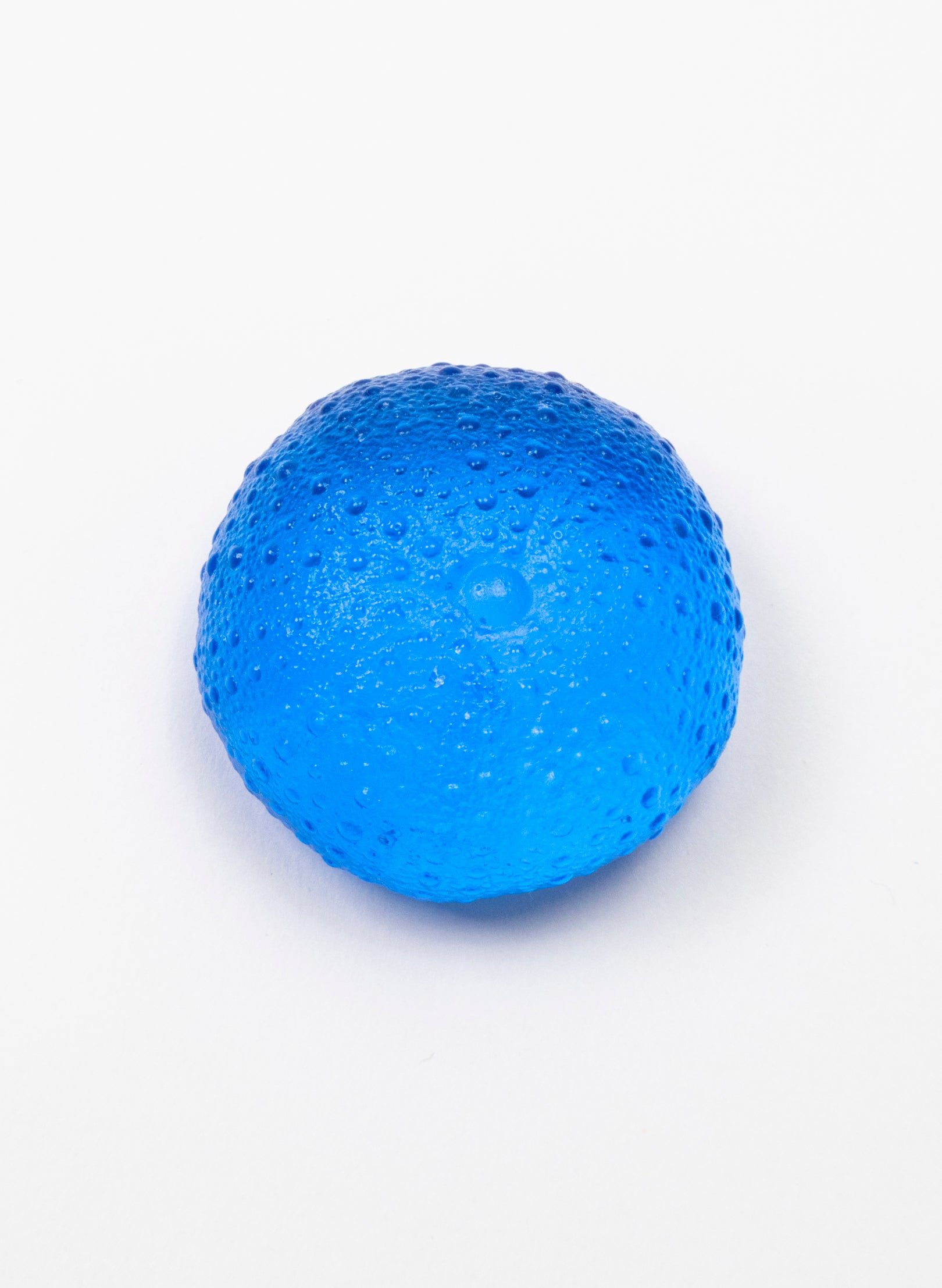 Large Sea Urchin - Dark Aqua