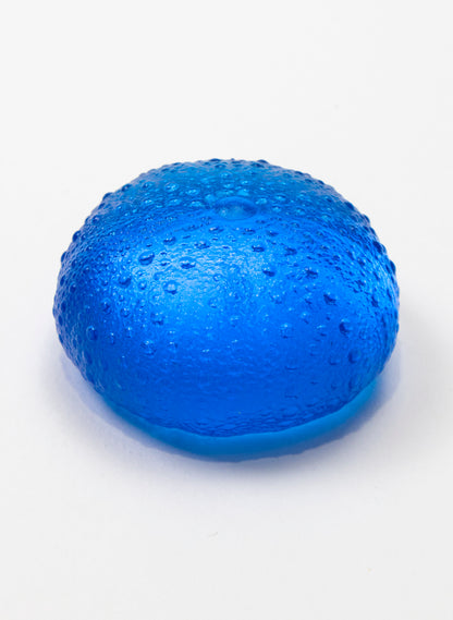 Large Sea Urchin - Dark Aqua