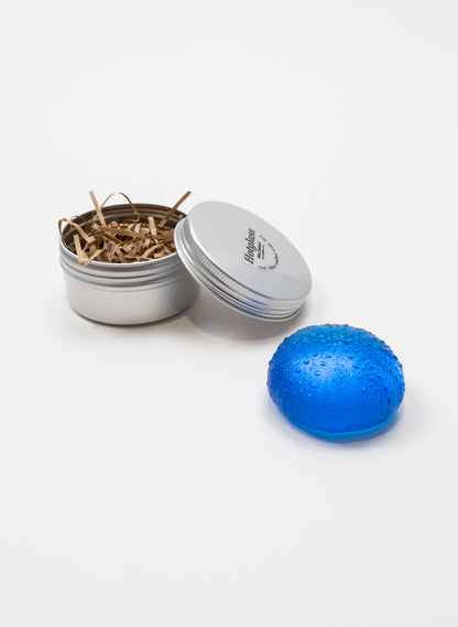 Large Sea Urchin - Dark Aqua