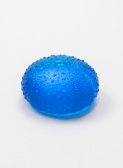 Medium Sea Urchin - Dark Aqua