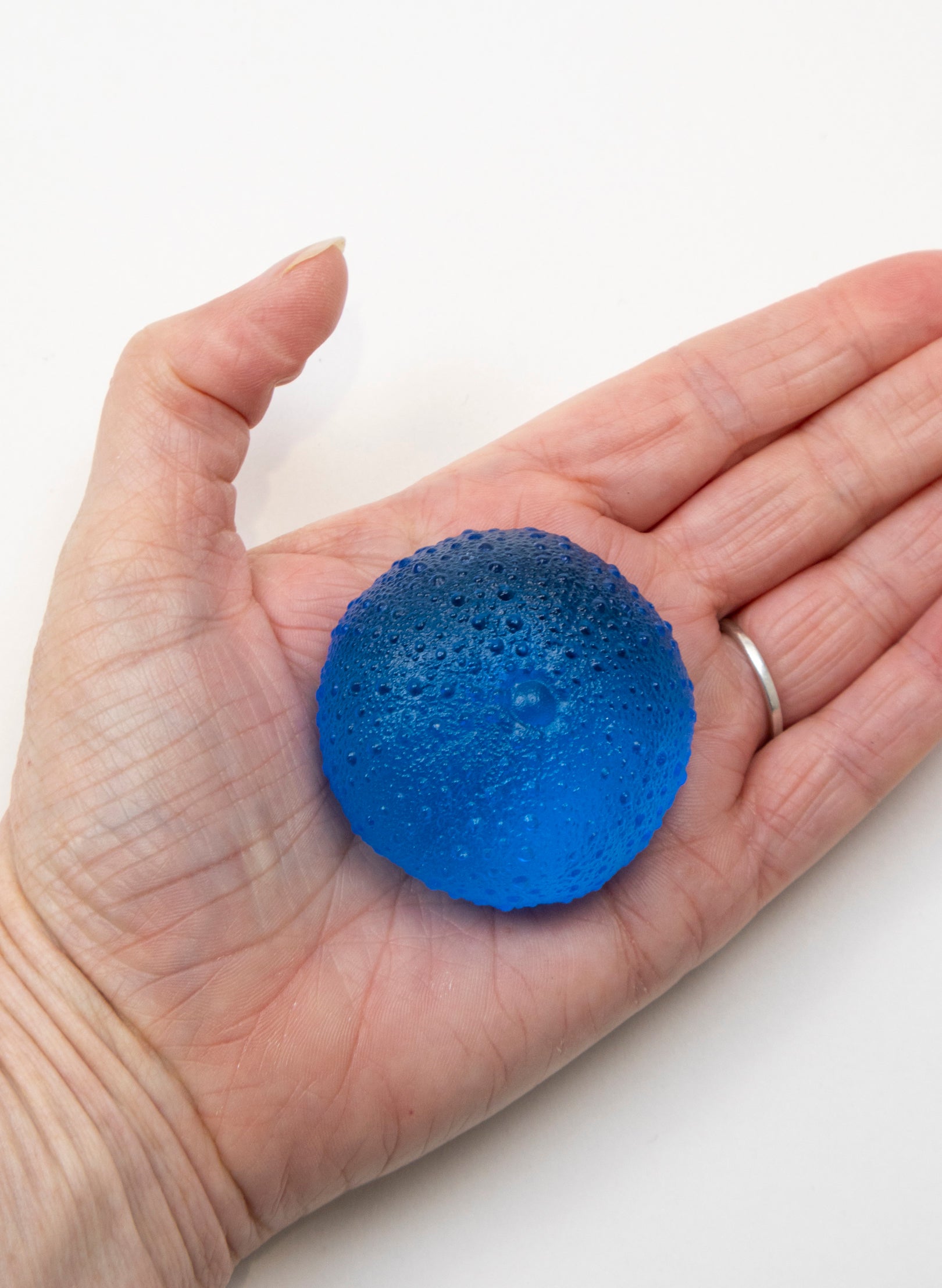 Medium Sea Urchin - Dark Aqua