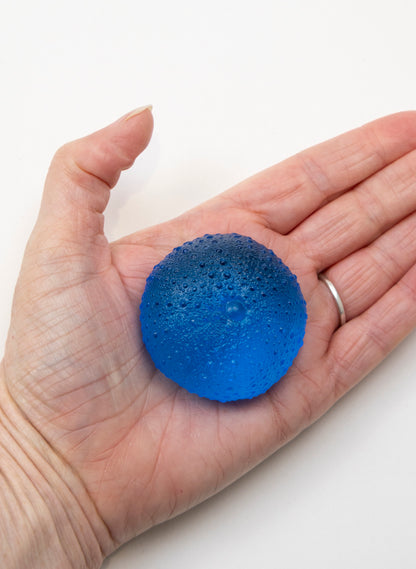 Medium Sea Urchin - Dark Aqua