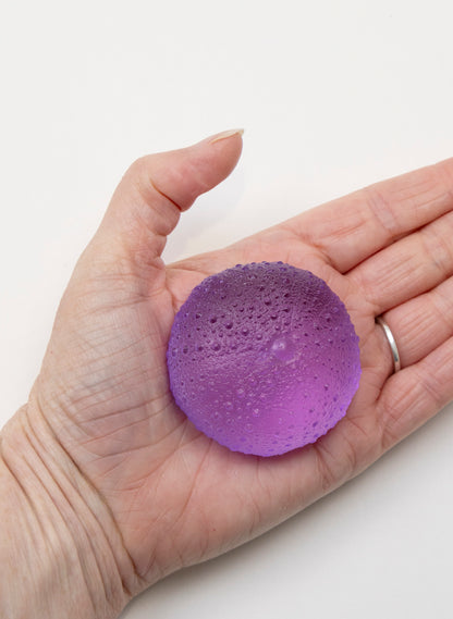 Large Sea Urchin - Violet