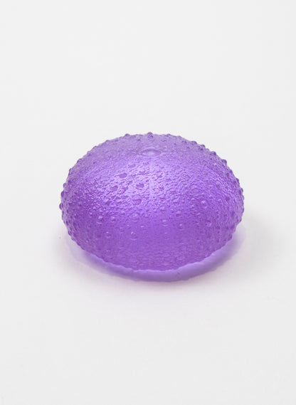 Medium Sea Urchin - Violet