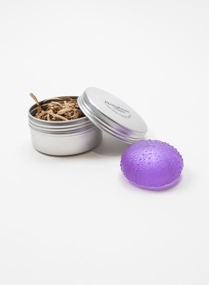 Medium Sea Urchin - Violet