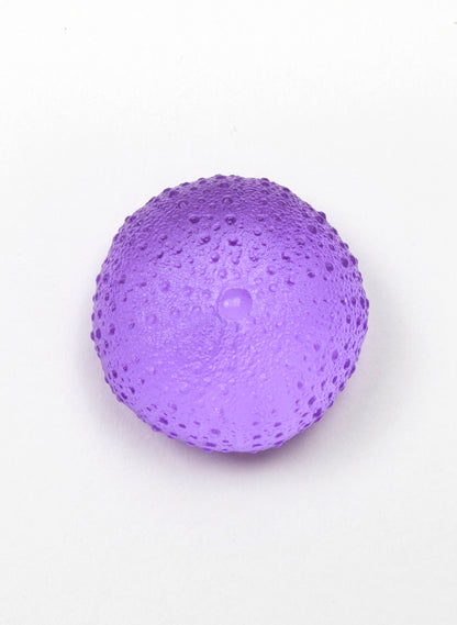Medium Sea Urchin - Violet