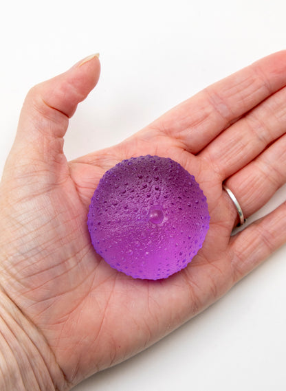 Medium Sea Urchin - Violet