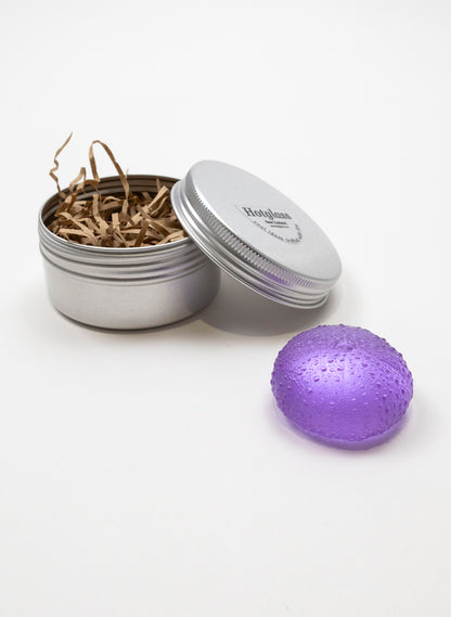 Small Sea Urchin - Violet