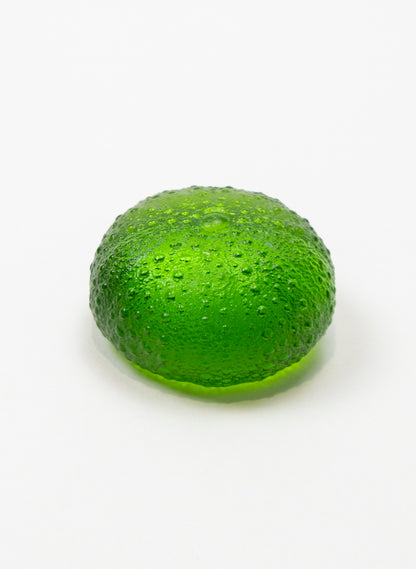 Small Sea Urchin - Green