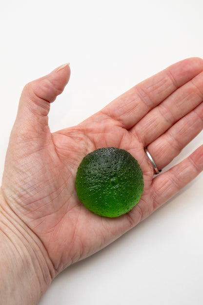 Small Sea Urchin - Green