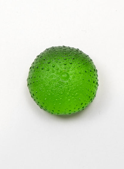 Medium Sea Urchin - Green