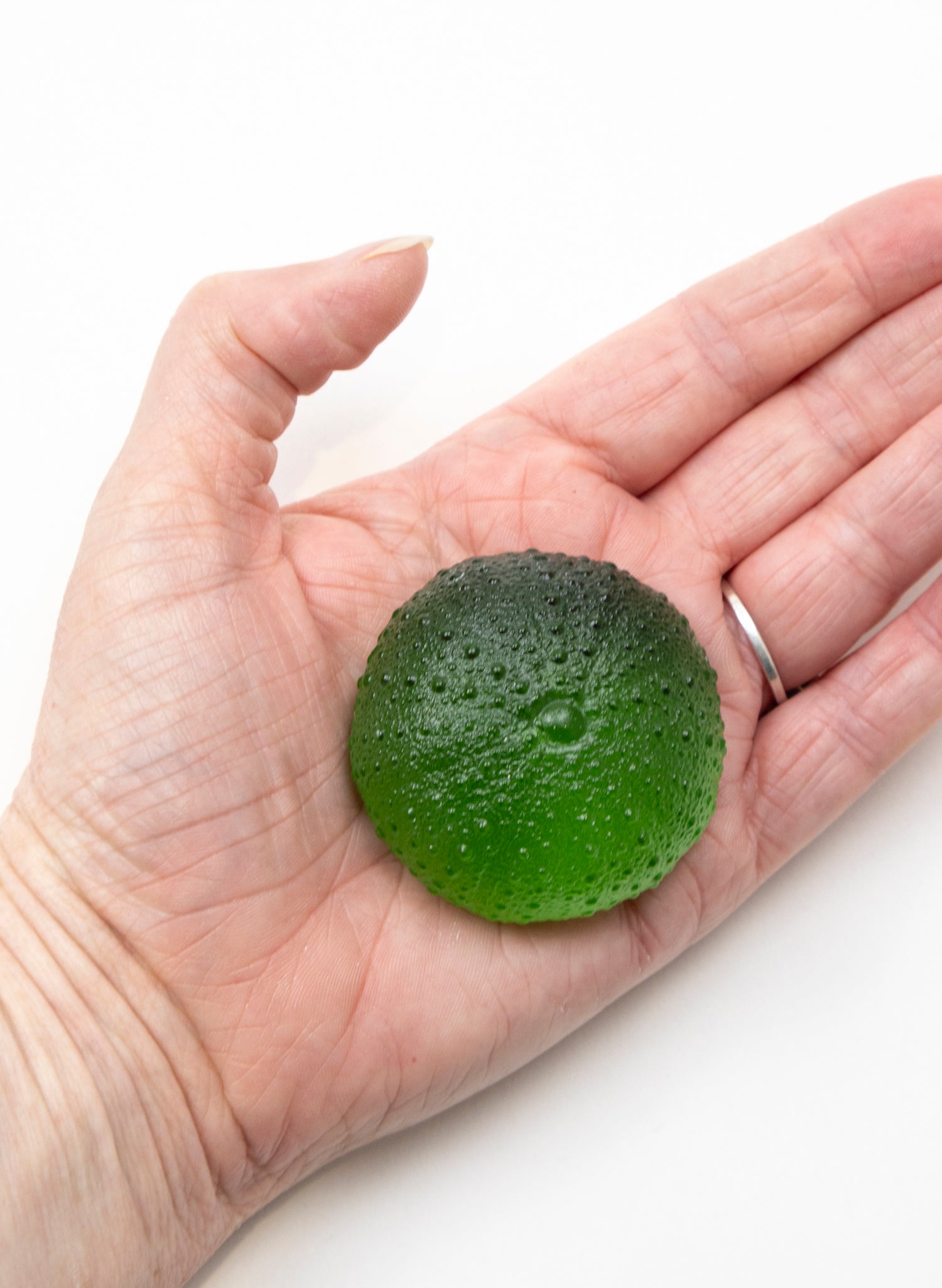 Medium Sea Urchin - Green