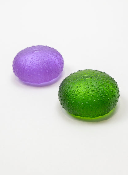 Medium Sea Urchin - Green