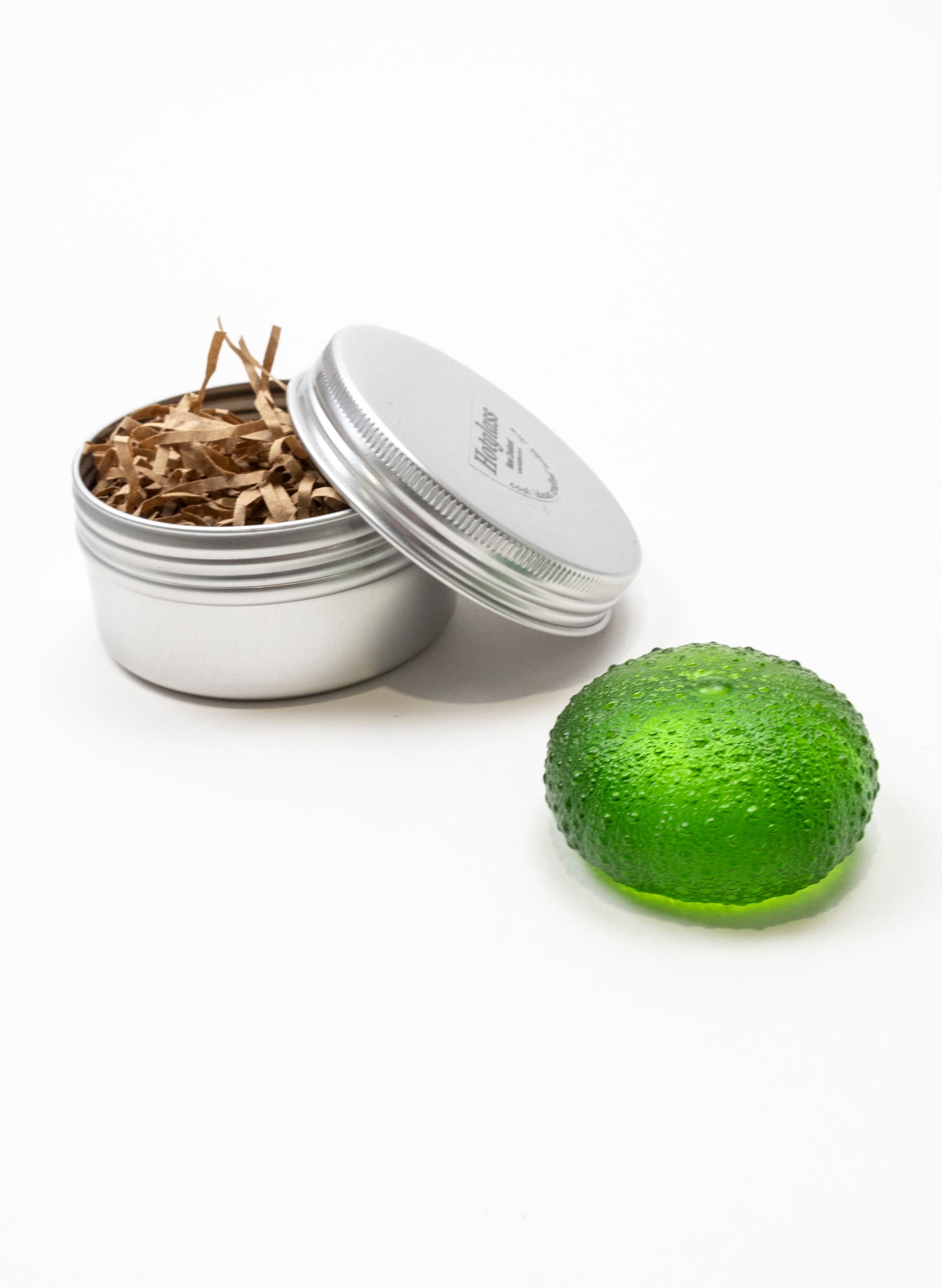 Medium Sea Urchin - Green