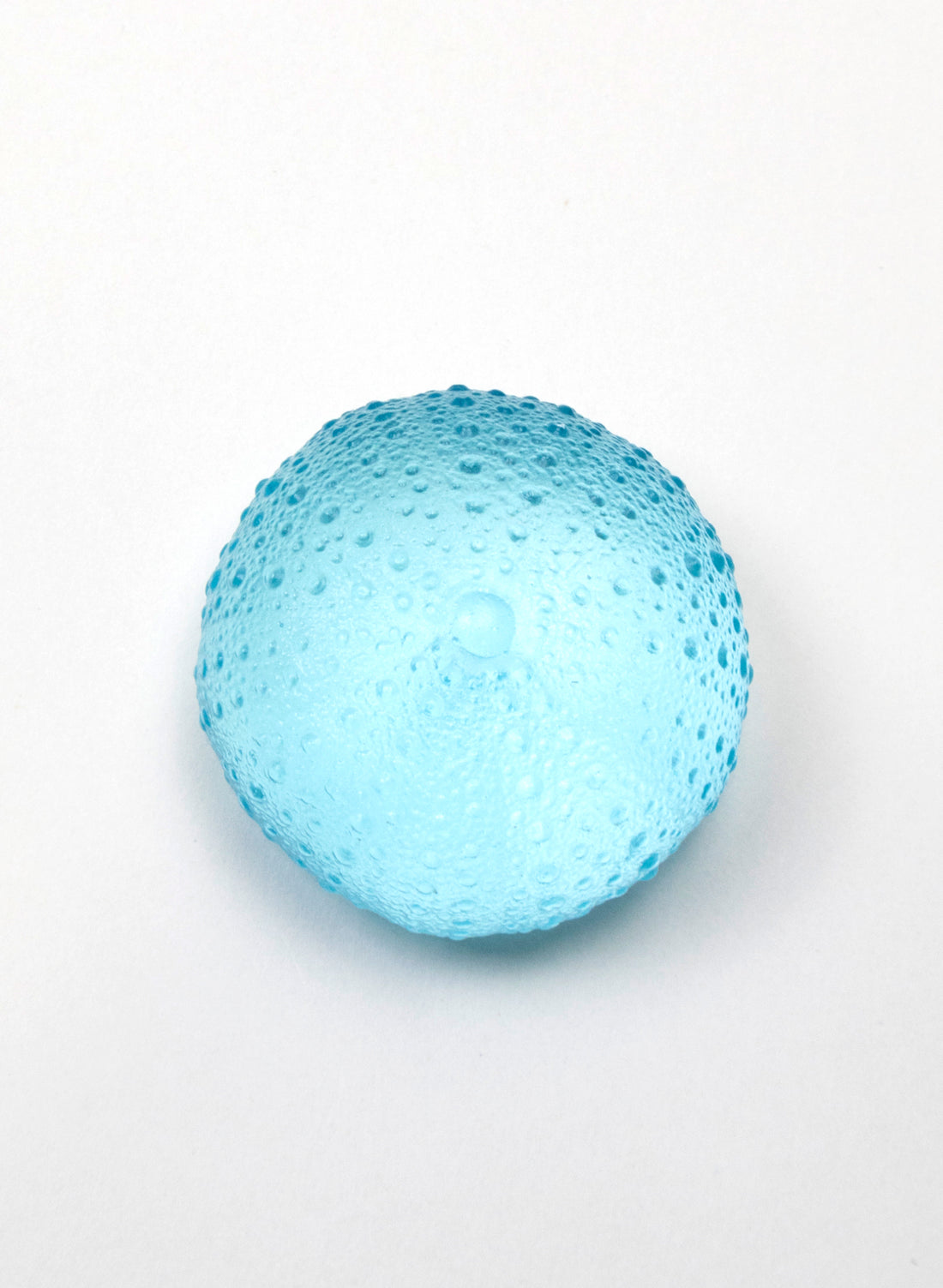 Large Sea Urchin - Light Aqua