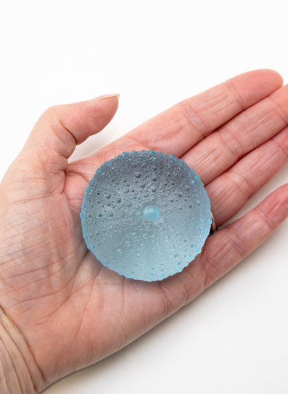 Large Sea Urchin - Light Aqua