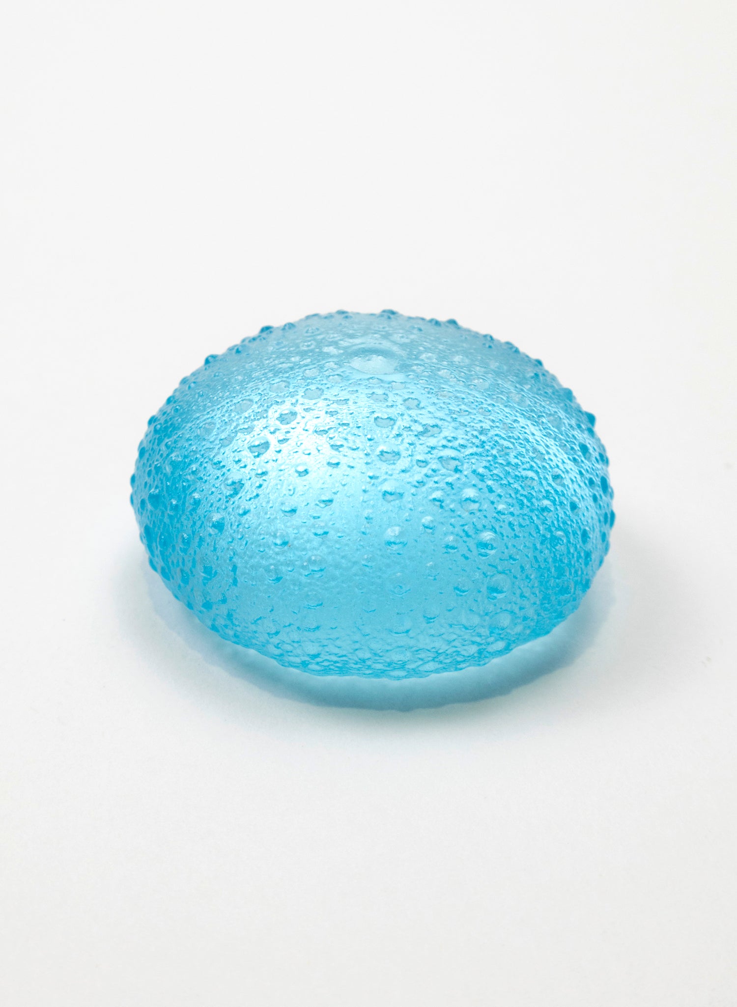 Large Sea Urchin - Light Aqua
