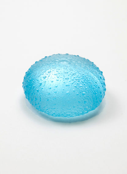Large Sea Urchin - Light Aqua