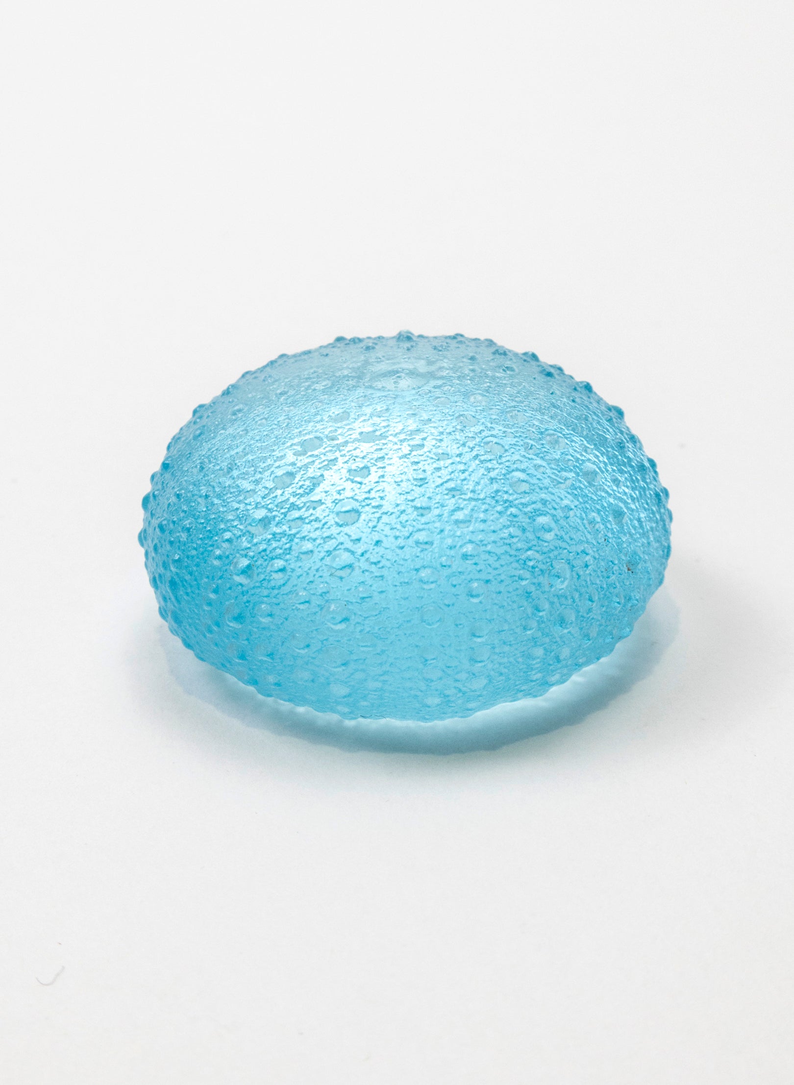 Medium Sea Urchin - Light Aqua