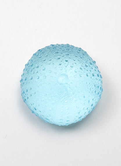 Medium Sea Urchin - Light Aqua