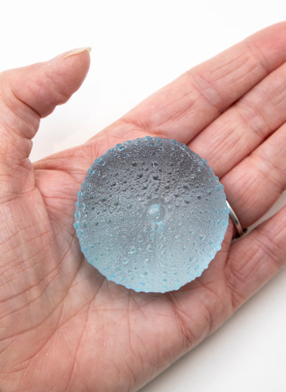 Medium Sea Urchin - Light Aqua