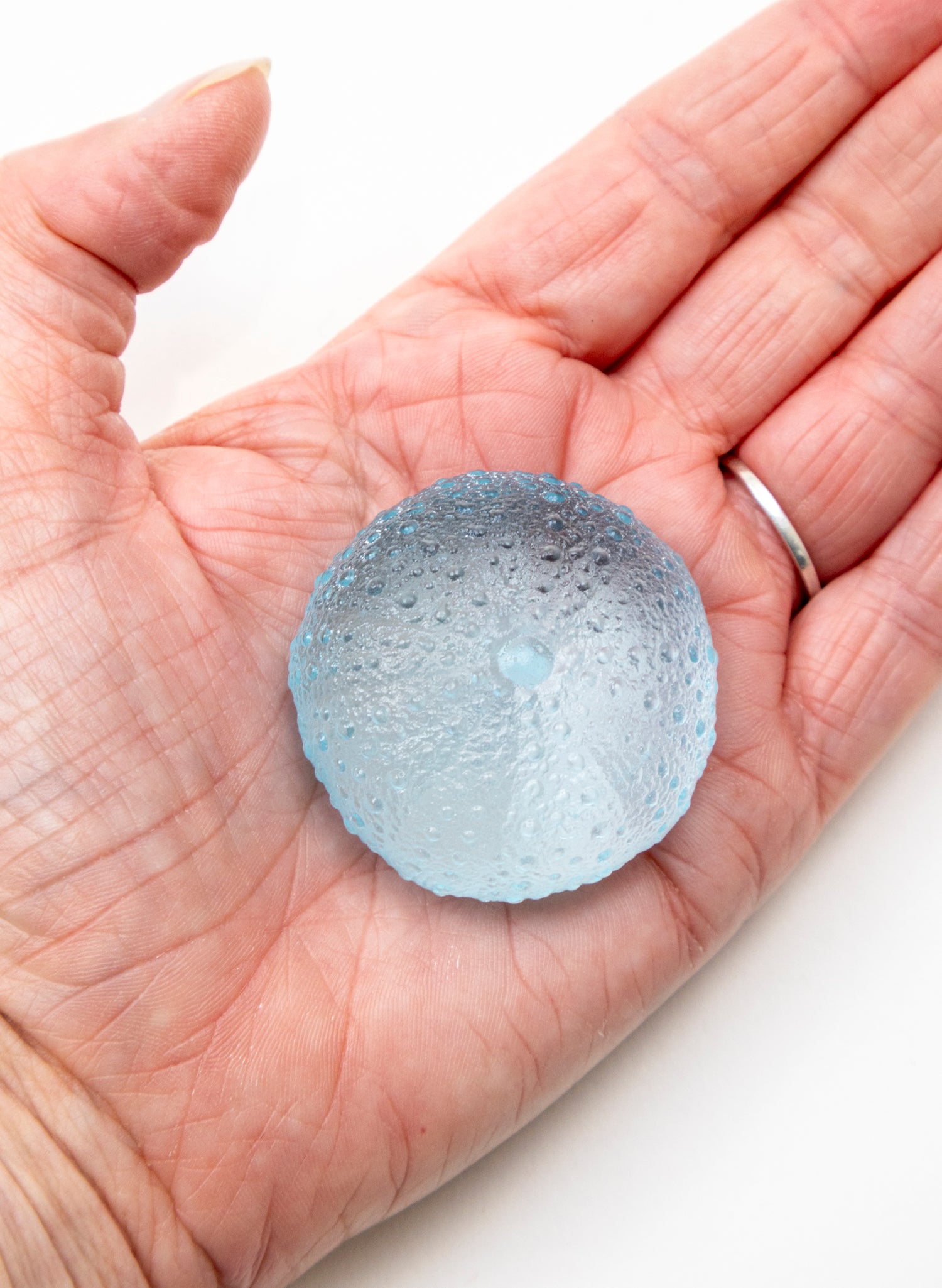 Small Sea Urchin - Light Aqua