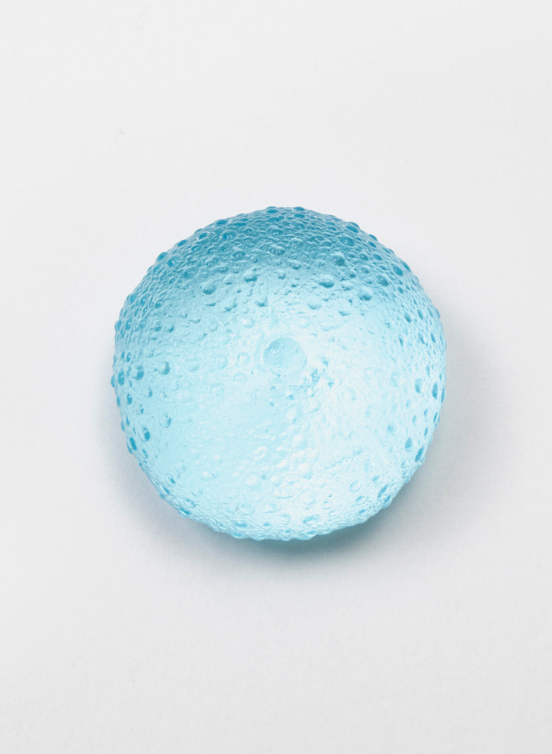 Small Sea Urchin - Light Aqua