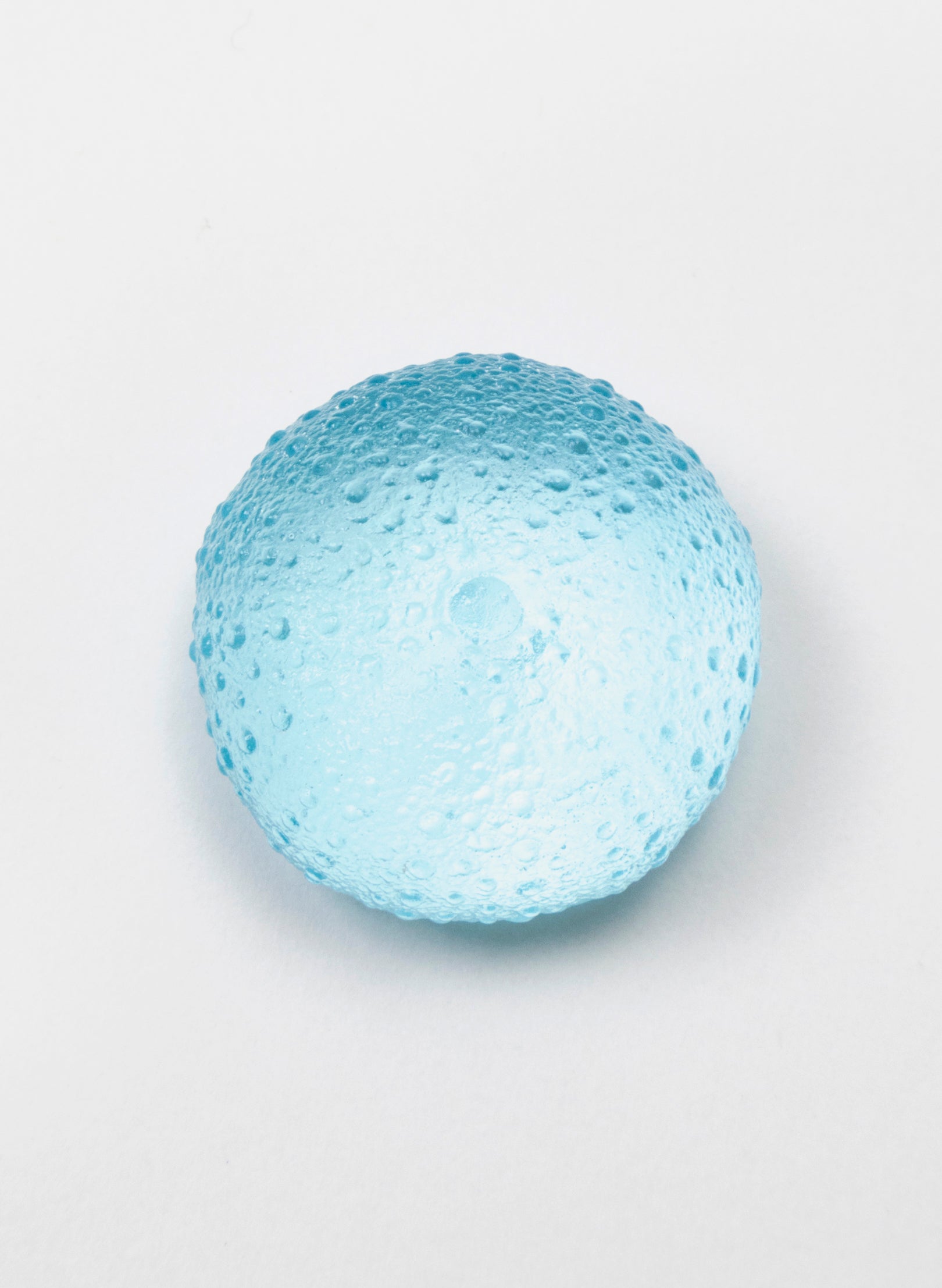 Small Sea Urchin - Light Aqua
