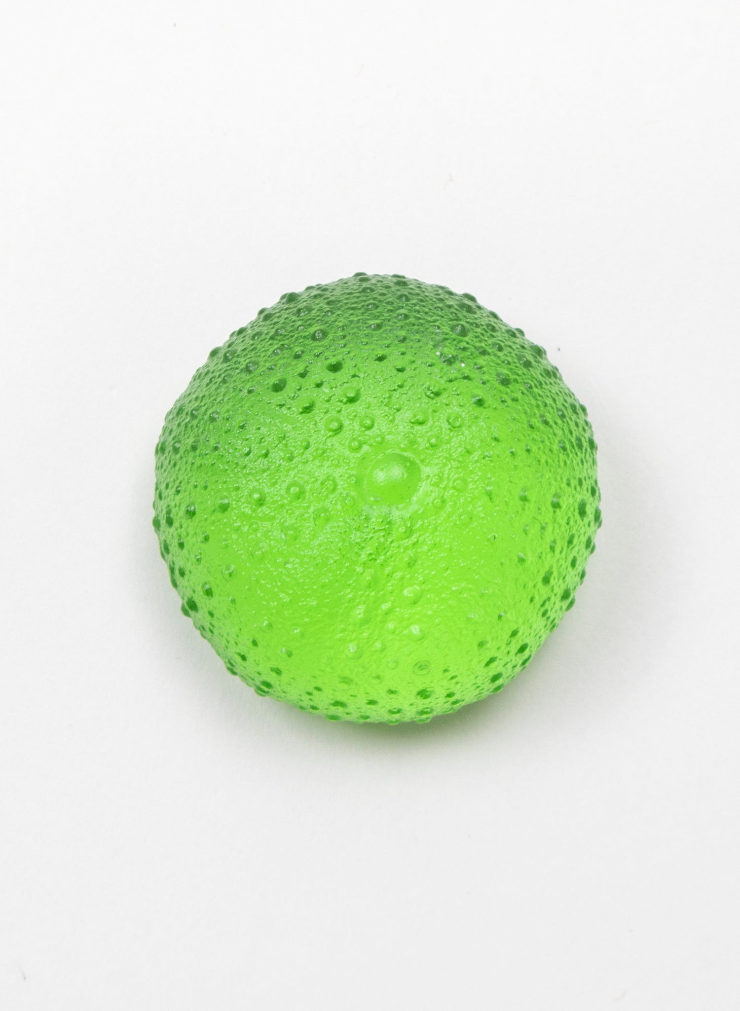 Medium Sea Urchin - Lime