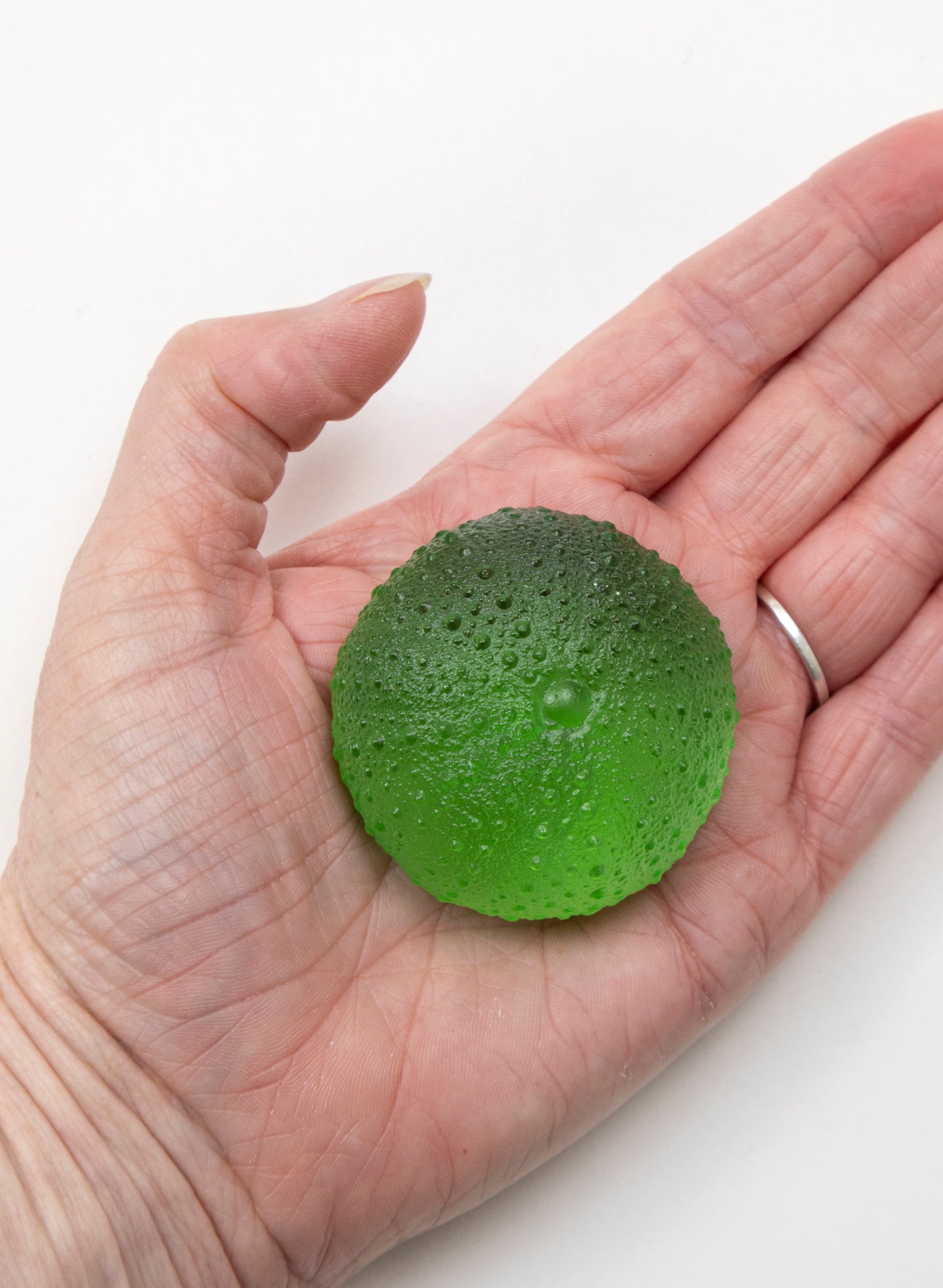 Medium Sea Urchin - Lime