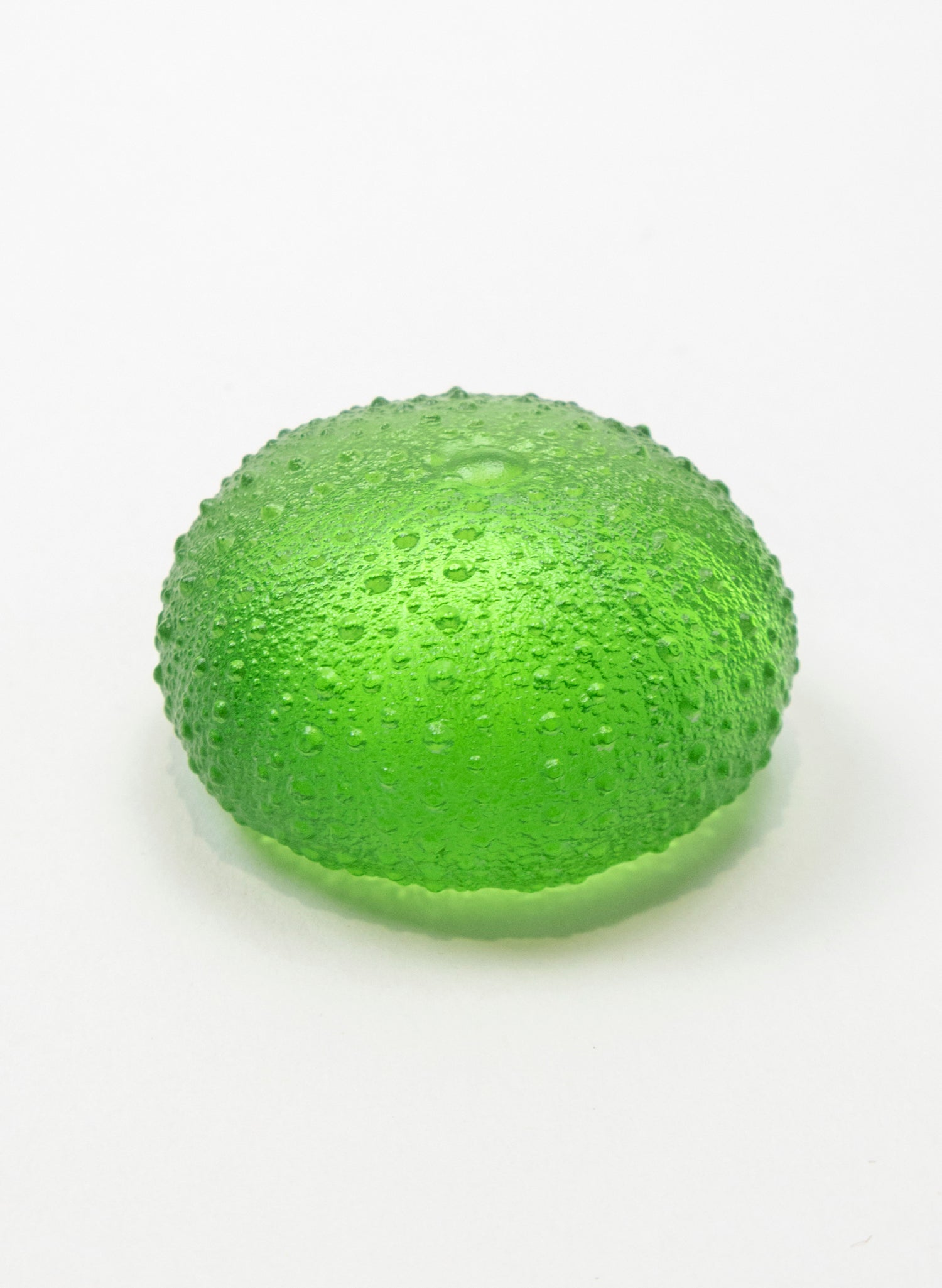 Medium Sea Urchin - Lime