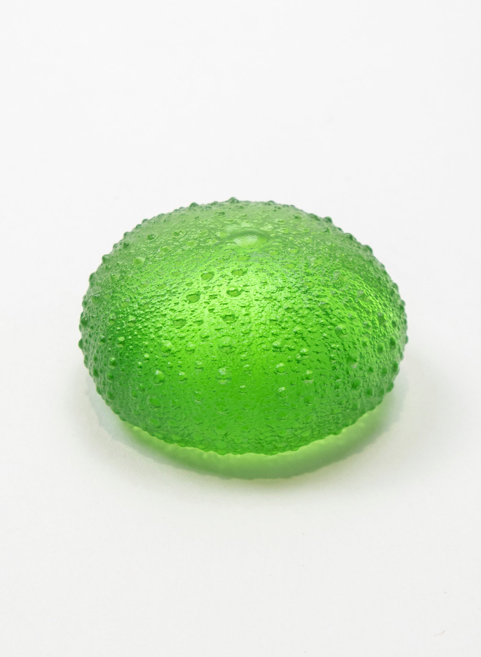 Medium Sea Urchin - Lime
