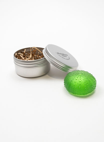 Medium Sea Urchin - Lime