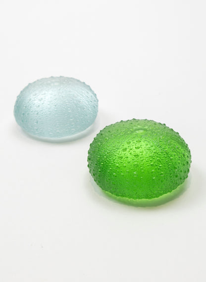 Medium Sea Urchin - Lime