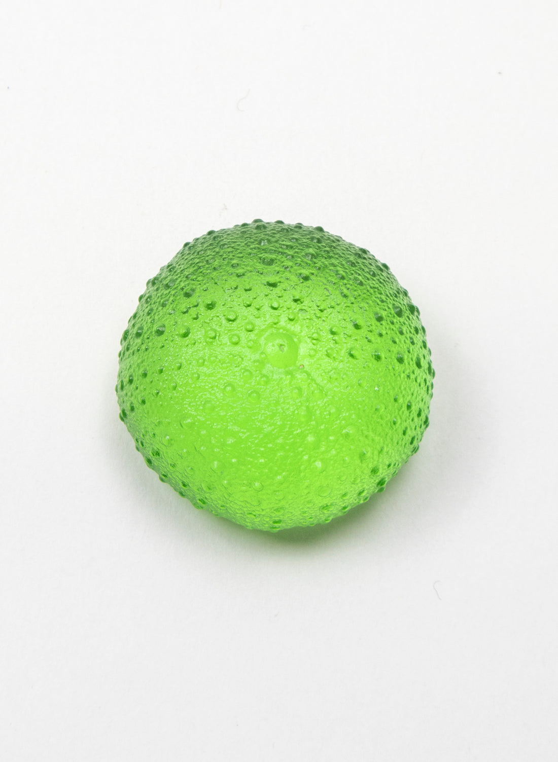 Small Sea Urchin - Lime