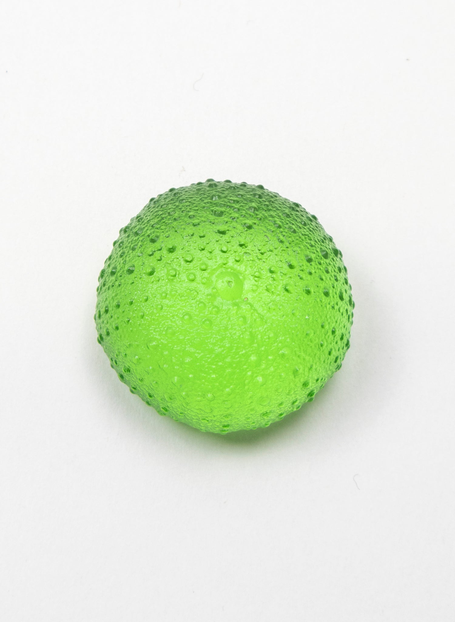 Small Sea Urchin - Lime