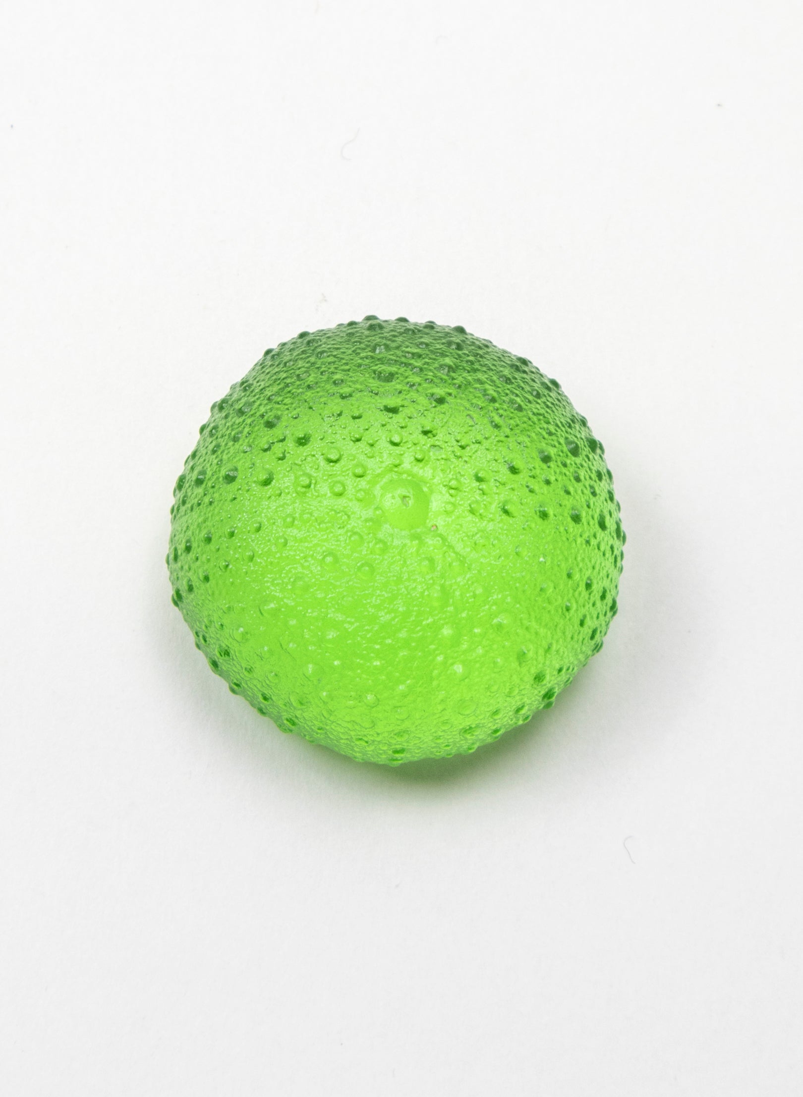 Small Sea Urchin - Lime