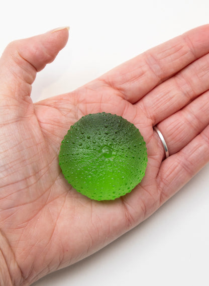 Small Sea Urchin - Lime