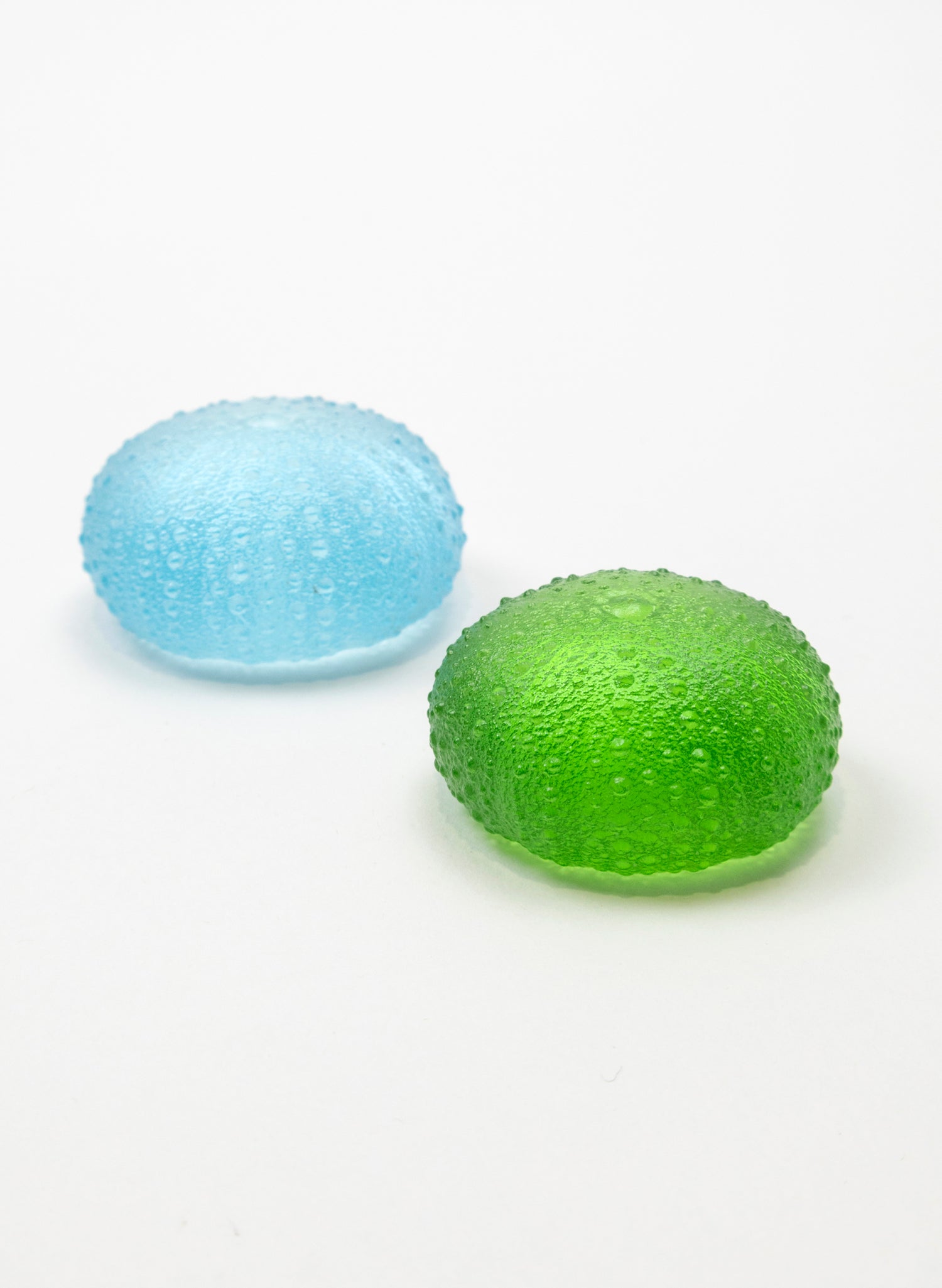 Small Sea Urchin - Lime