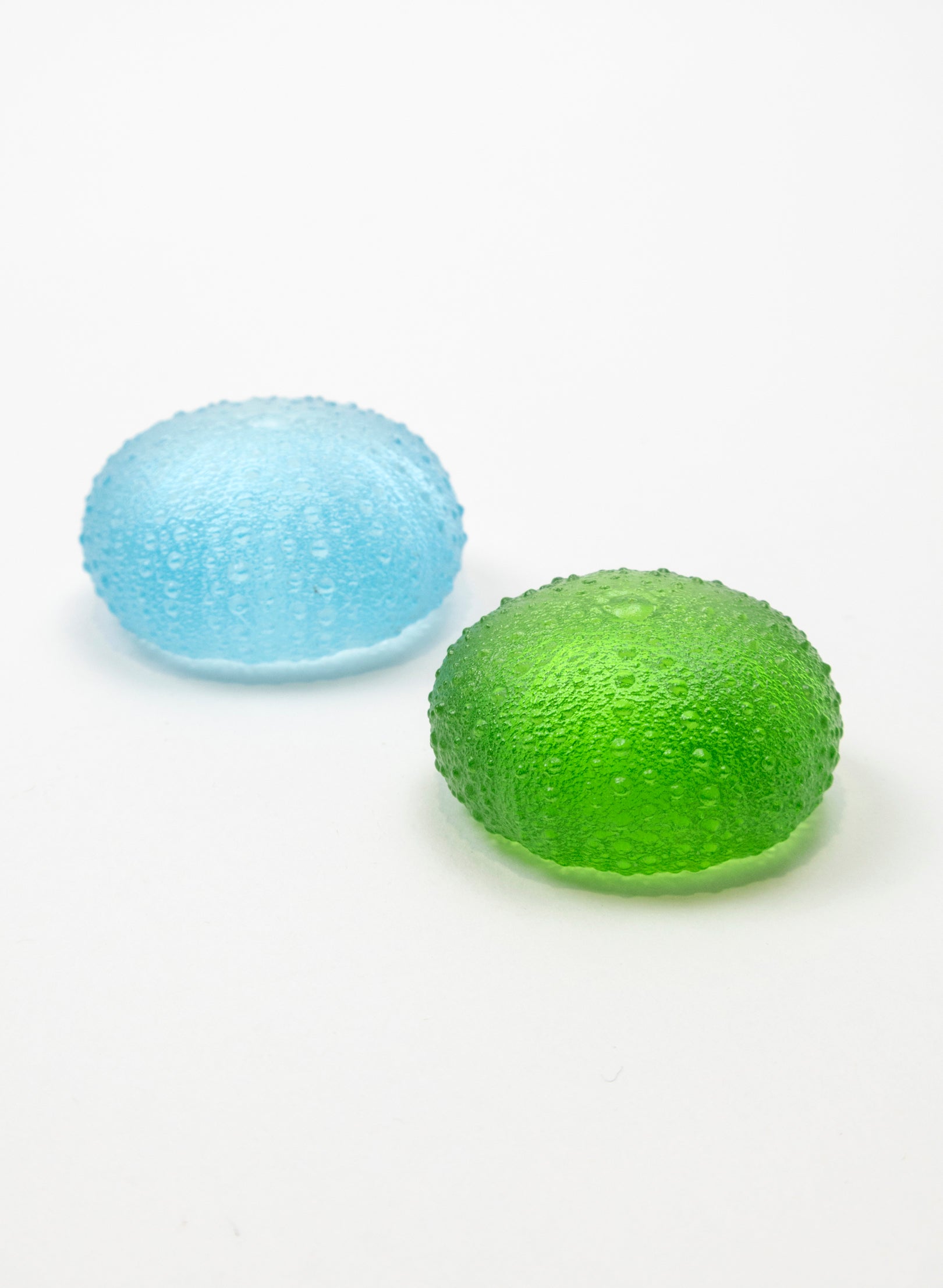 Small Sea Urchin - Lime