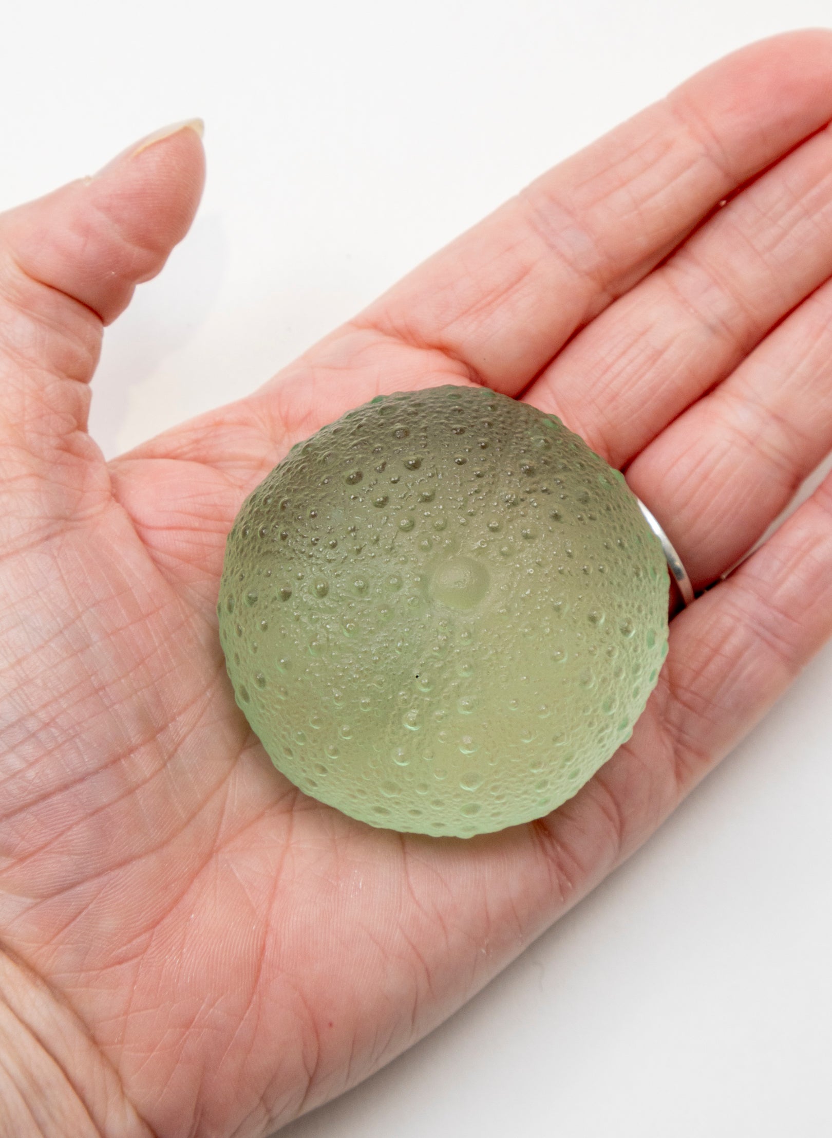 Large Sea Urchin - Pale Emerald