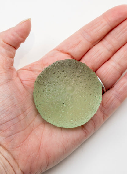Large Sea Urchin - Pale Emerald