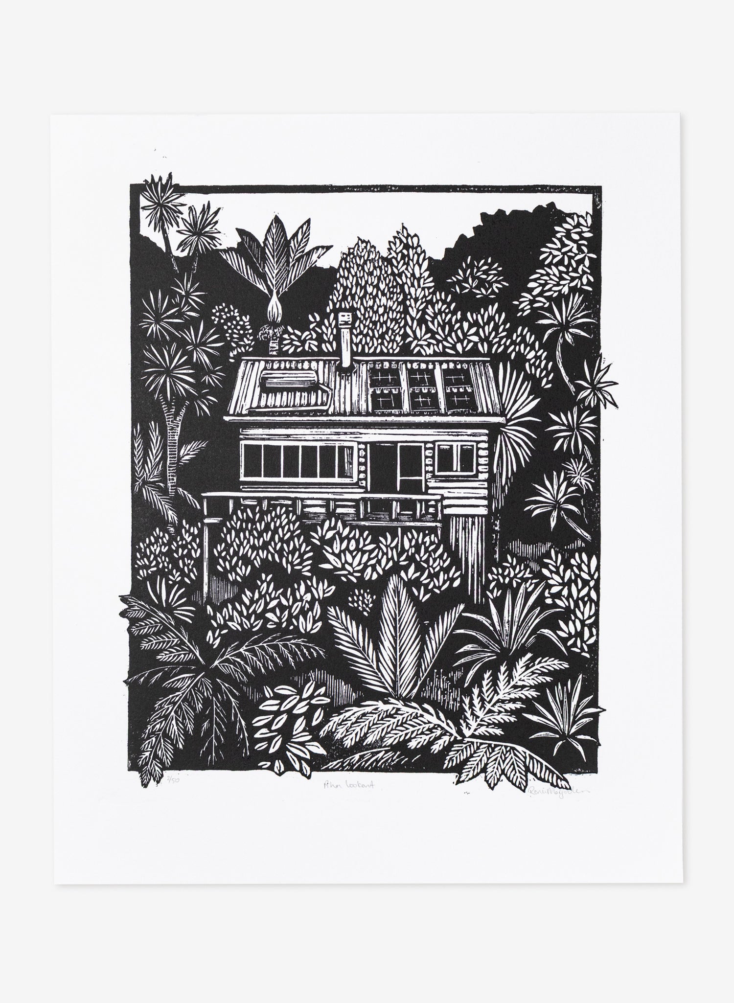 Piha Lookout 2/50