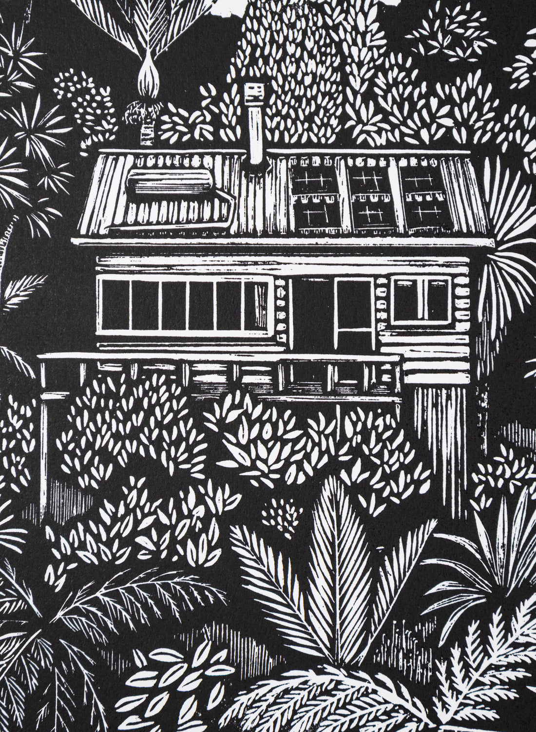 Piha Lookout 2/50
