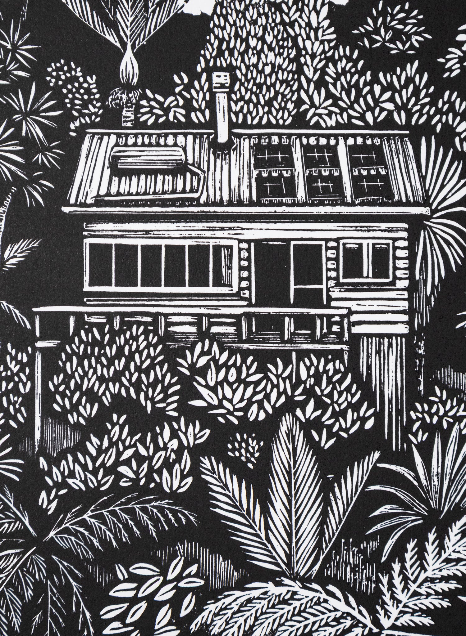 Piha Lookout 2/50