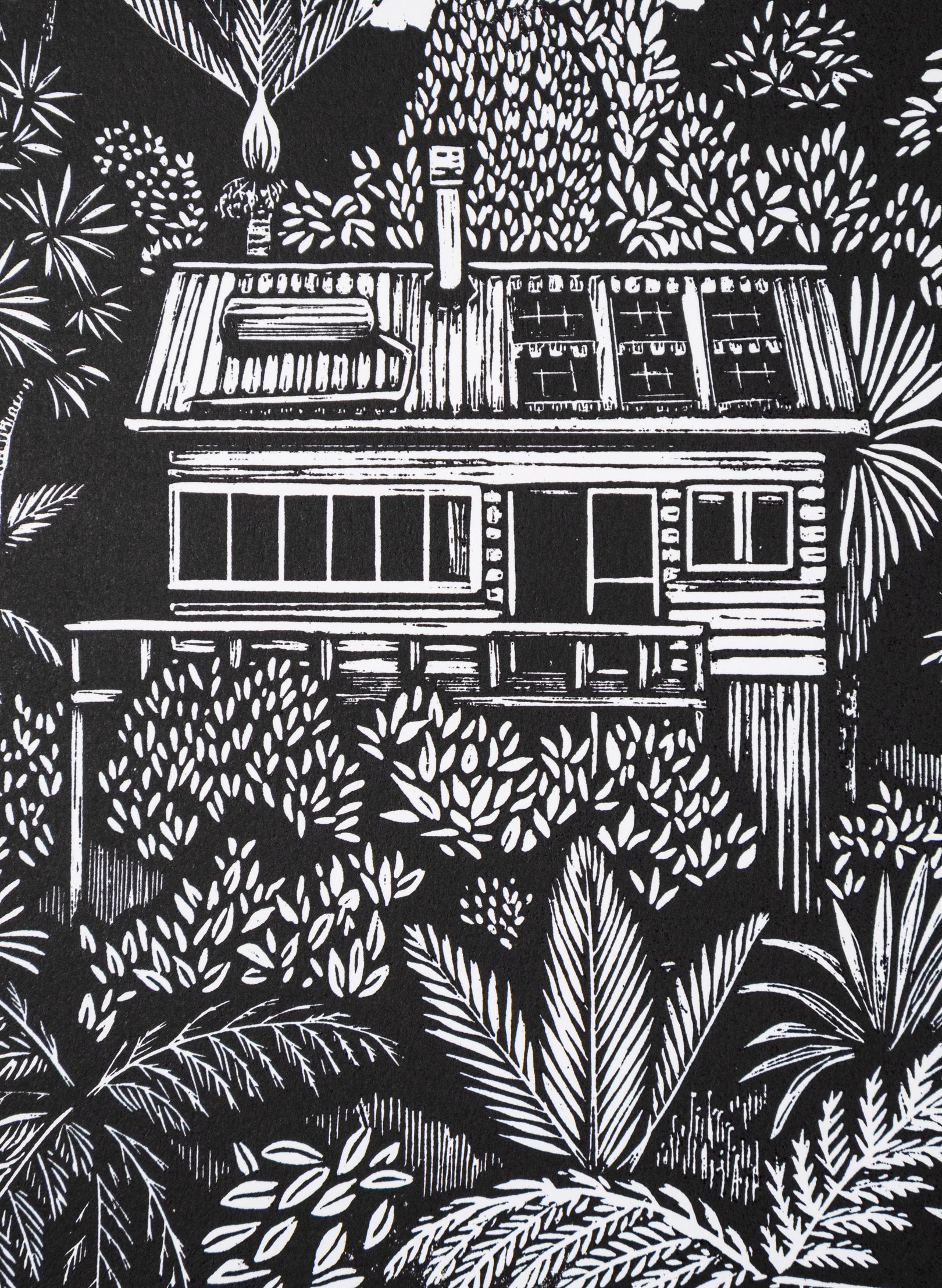 Piha Lookout 2/50