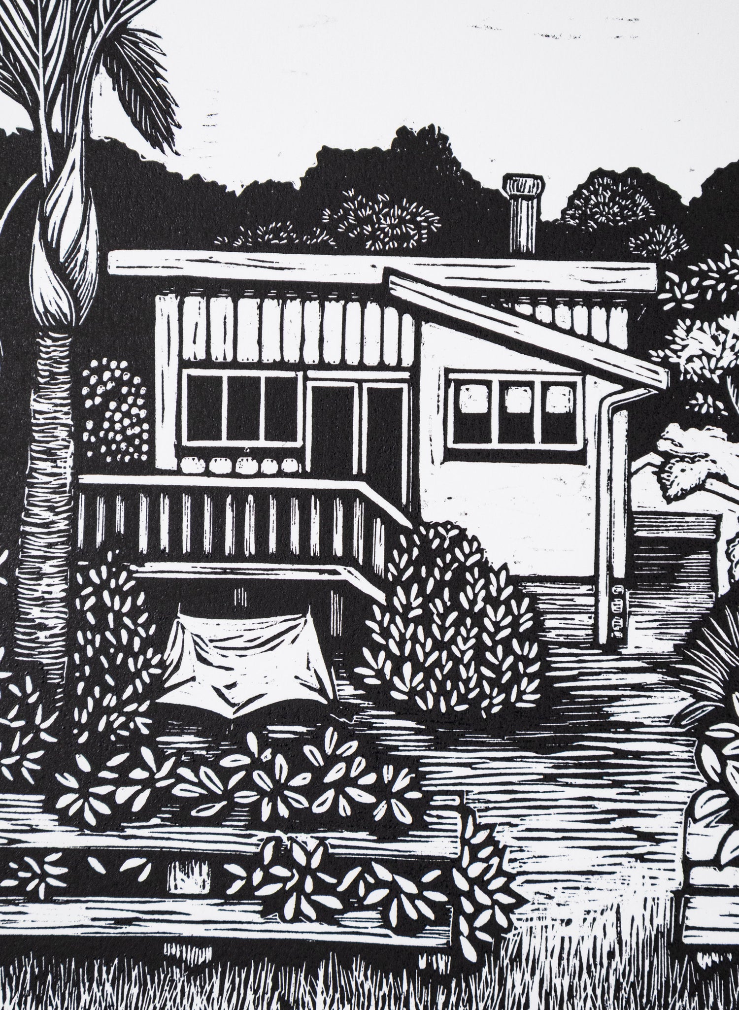 Te Mata Bay 5/50