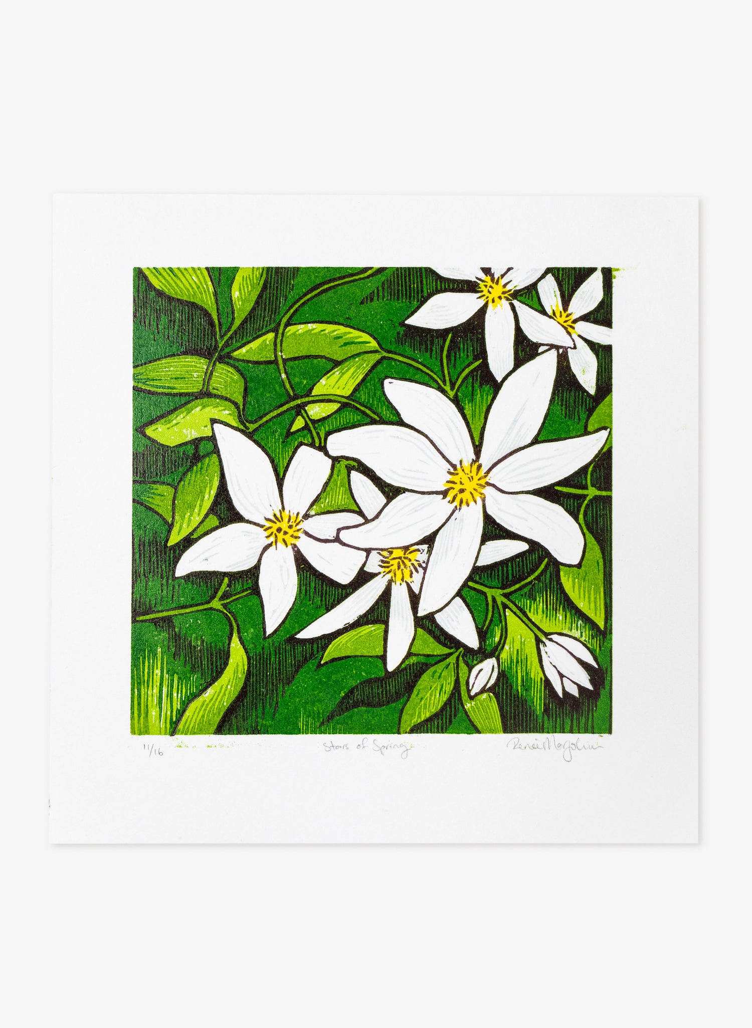 Stars of Spring (Colour)  -  Wood Cut Print